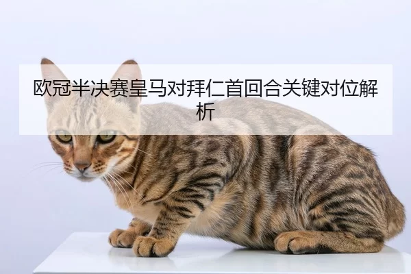 欧冠半决赛皇马对拜仁首回合关键对位解析