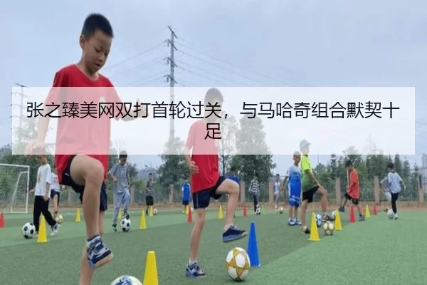 张之臻美网双打首轮过关，与马哈奇组合默契十足